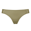 Salicorne