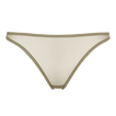 Salicorne