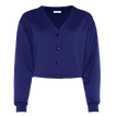 Indigo splash