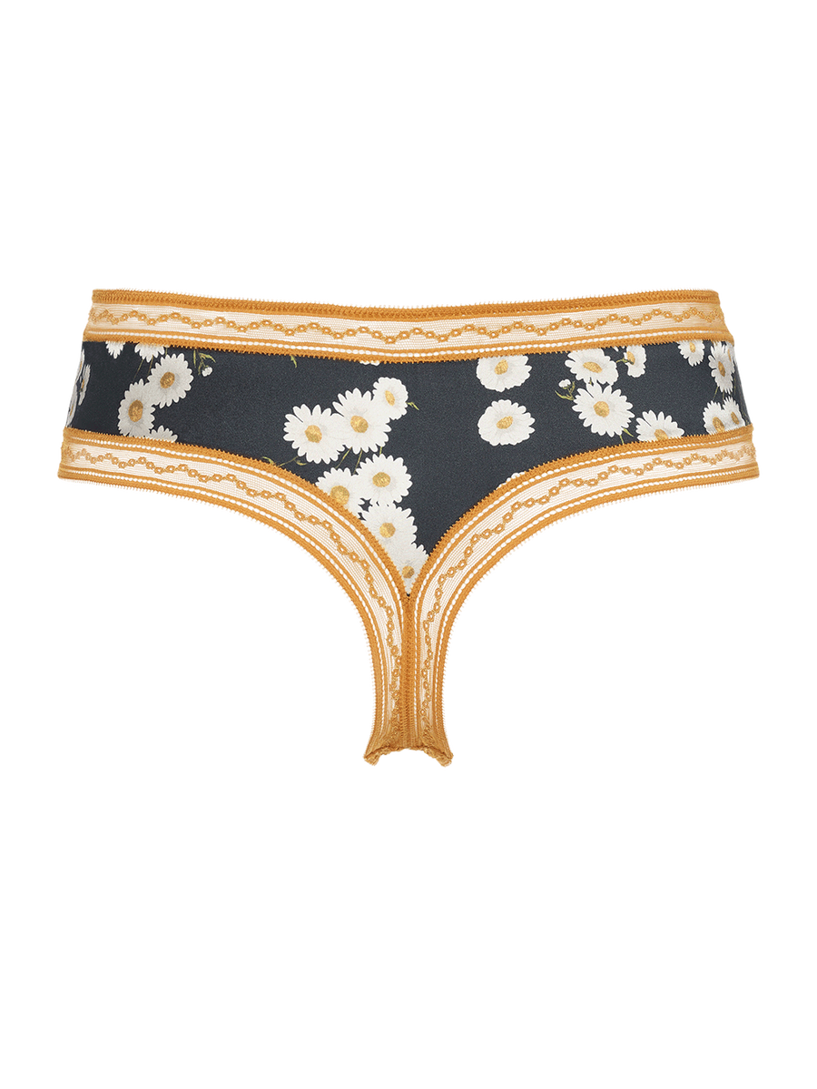 &Eacute;ternel Tanga Vista est&aacute;ndar NaN