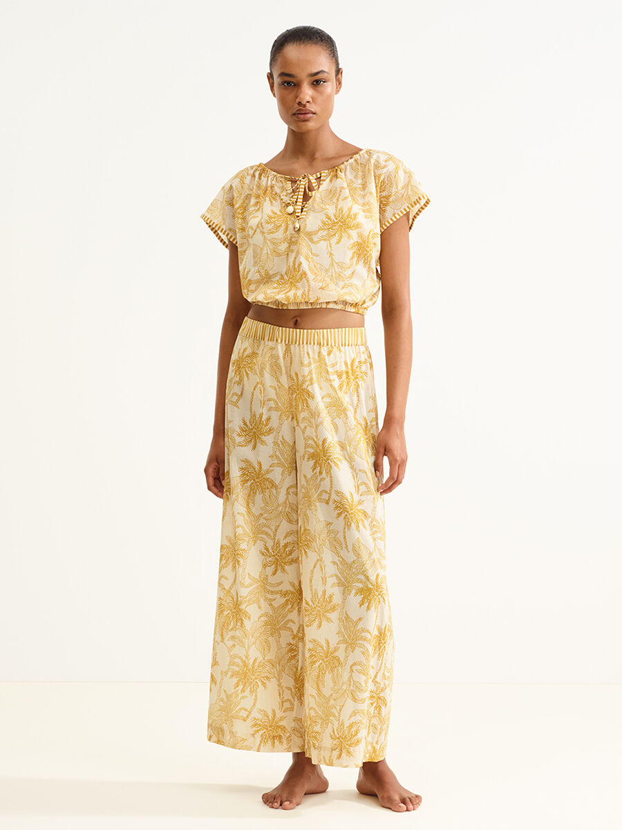 Crocodile Top standard view NaN