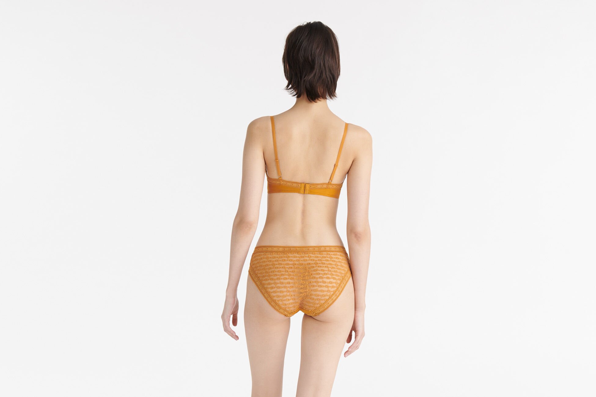 Elixir Culotte vue standard NaN