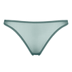 Menthe givr&eacute;e