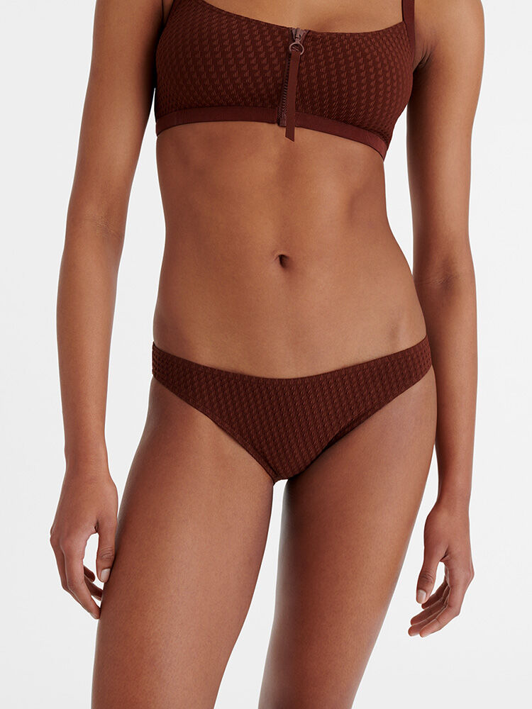 Trends-TORTUE