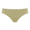 Alligator