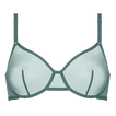 Menthe givr&eacute;e
