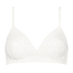 Lys