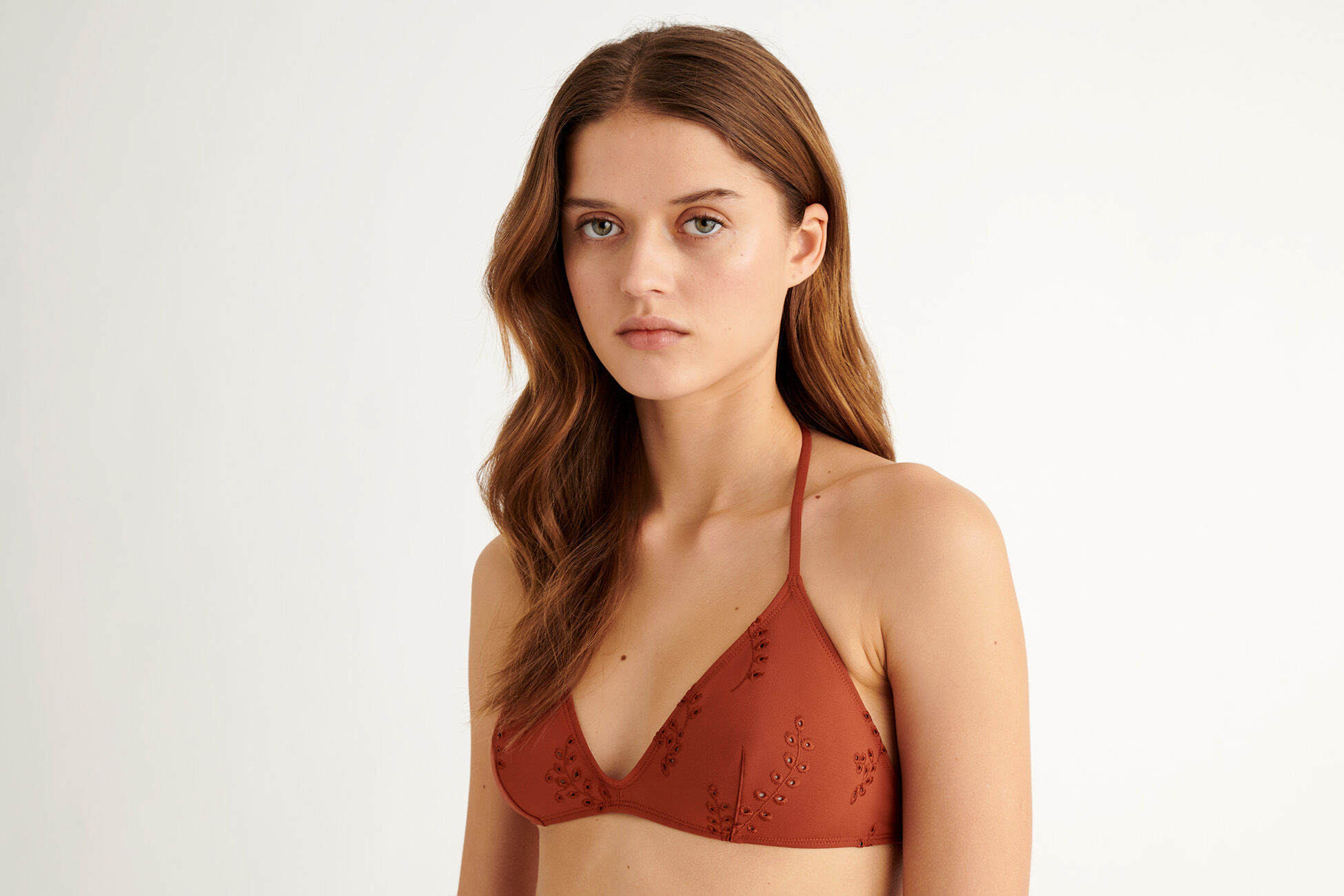 Papuasia Small triangle standard view �