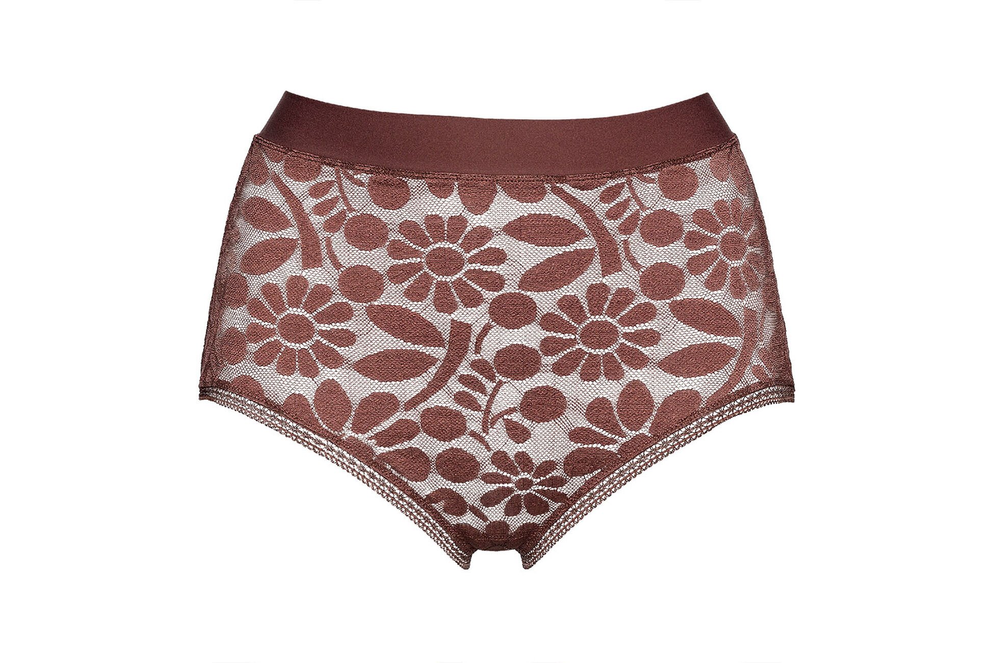 Opaque High-waisted briefs standard view NaN
