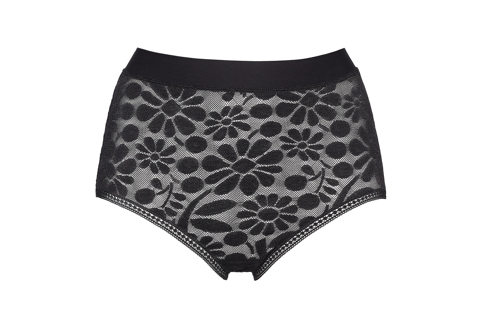 Opaque High-waisted briefs standard view NaN